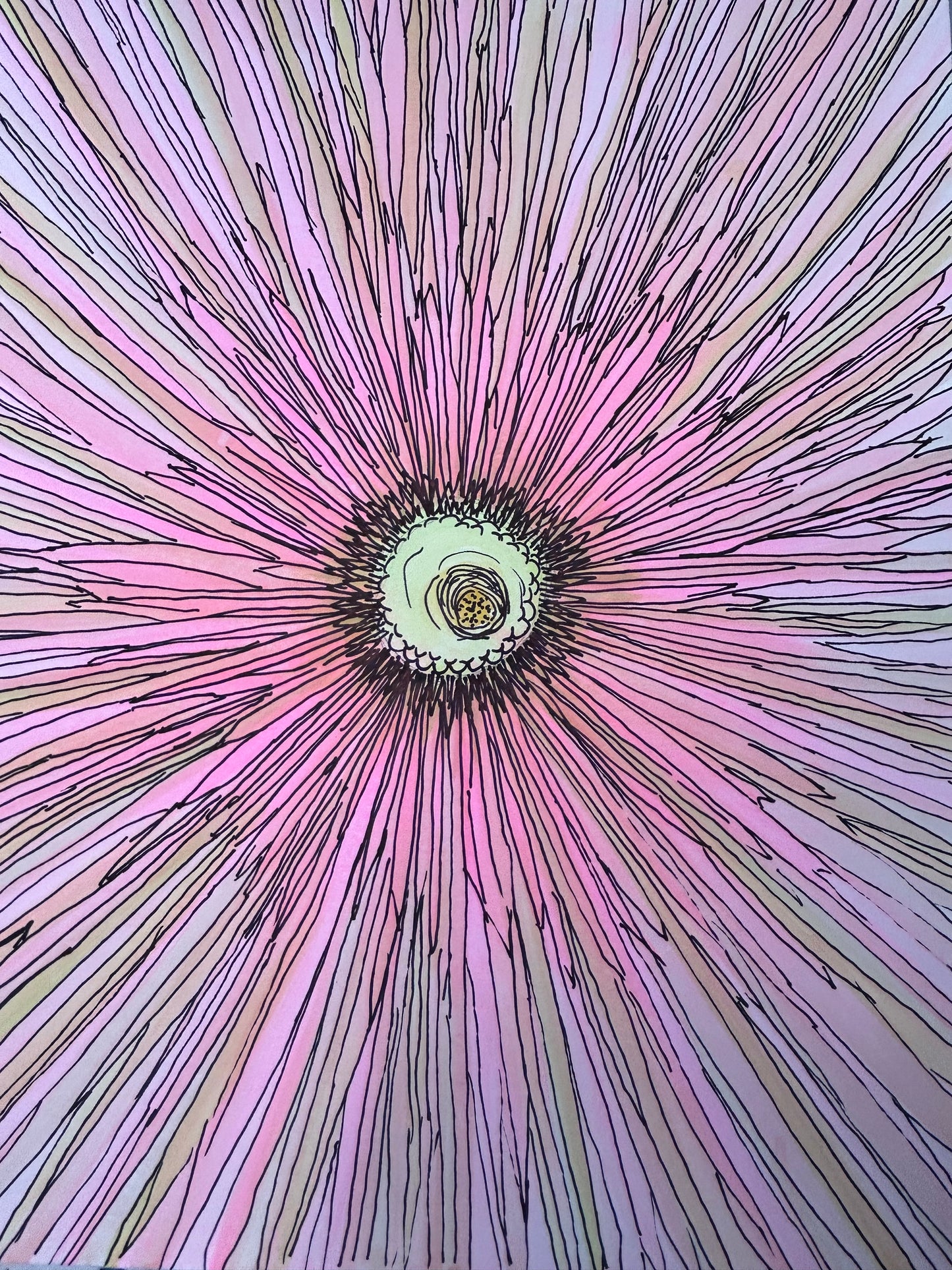 Blushing Radiance 8 1/2 x 10 poster