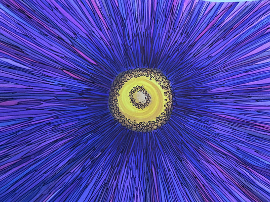 Cosmic Velvet 8 1/2 x 10 Poster